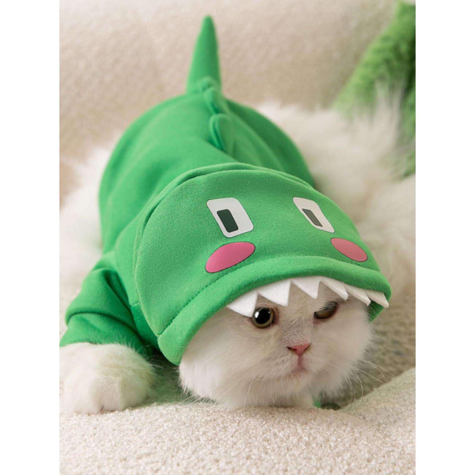 Cat Clothing Hats | Cute Lion Transformation – Cat Headgear
