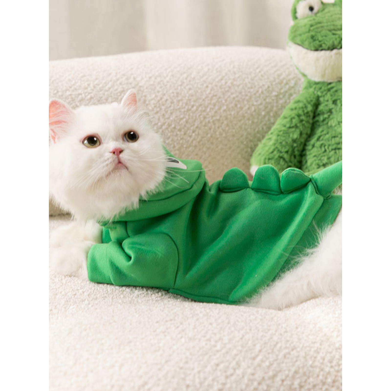 Cat Clothing Hats | Cute Lion Transformation – Cat Headgear