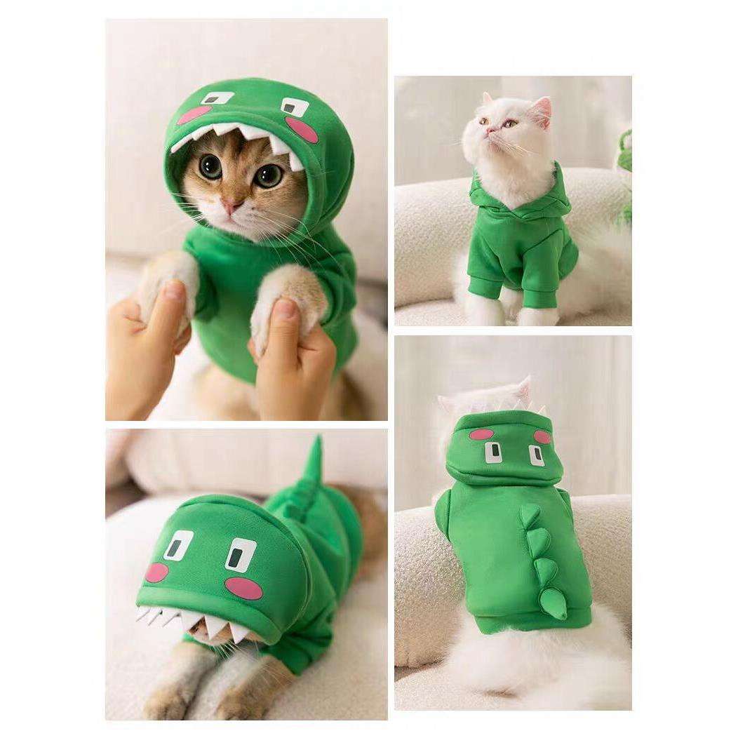 Cat Clothing Hats | Cute Lion Transformation – Cat Headgear