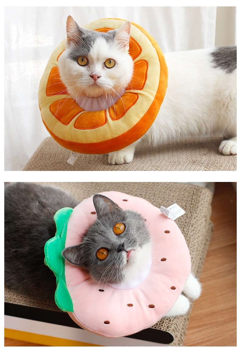 Cat Elizabethan Collar | Set of Three Elizabethan Collars for Cats