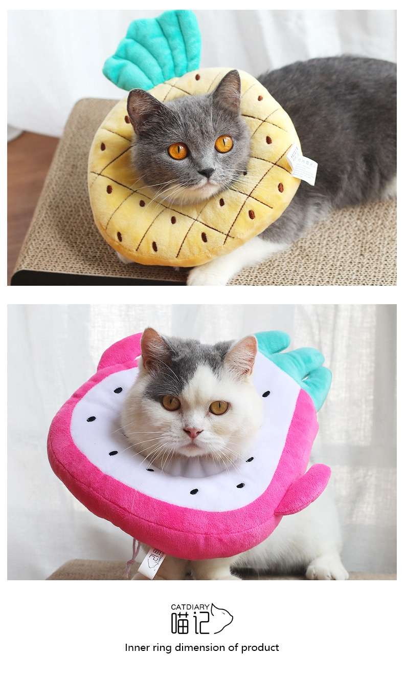 Cat Elizabethan Collar | Set of Three Elizabethan Collars for Cats