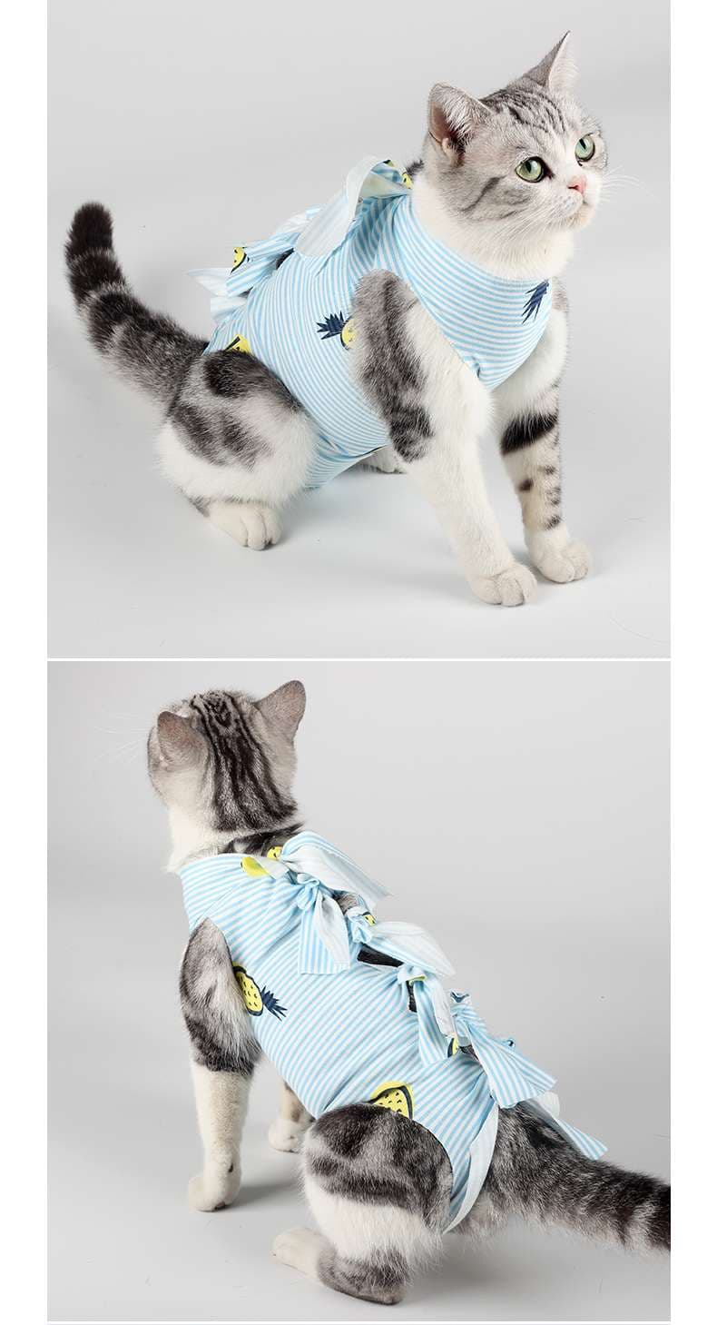 Cat Clothing Winter Jacket | Fluffy Bear Cat Hoodie